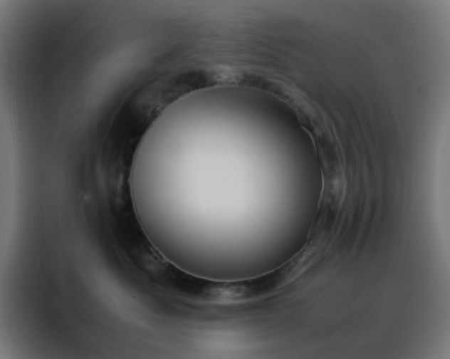 X0000088230525200705221827