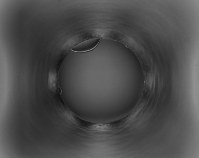 X0000088230526200705221827