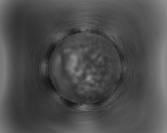 X0000088230527200705221827