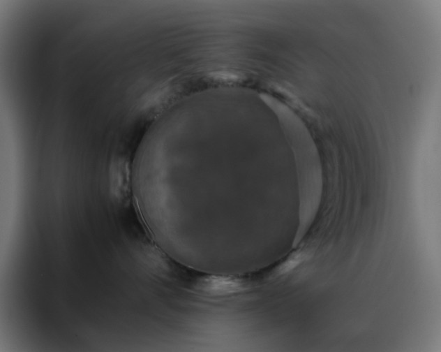 X0000088230528200705221827