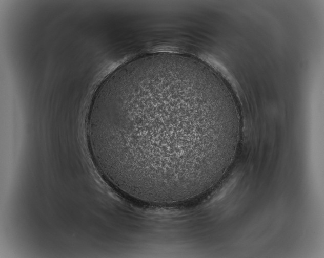 X0000088230529200705221826