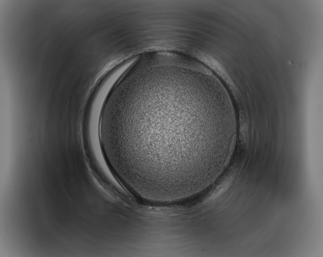 X0000088230530200705221826