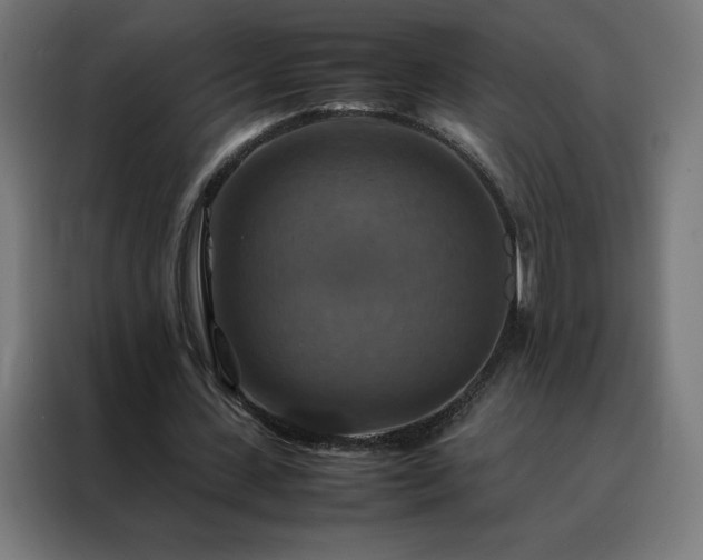X0000088230531200705221826
