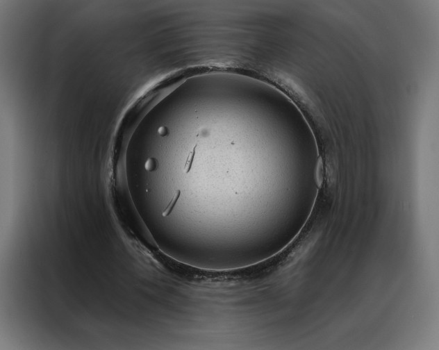 X0000088230532200705221826