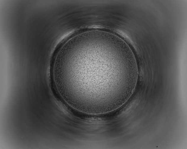 X0000088230535200705221826