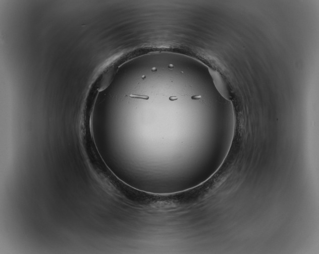 X0000088230536200705221826