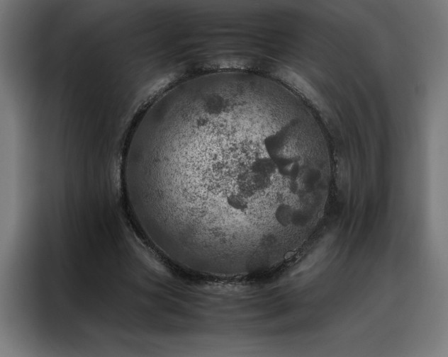 X0000088230537200705221826