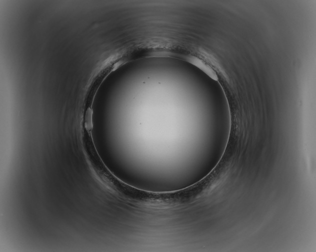 X0000088230538200705221826