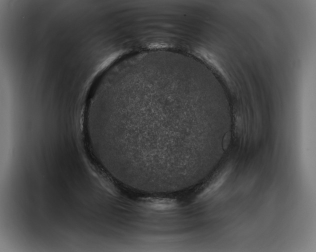 X0000088230539200705221826
