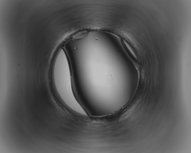 X0000088230540200705221826