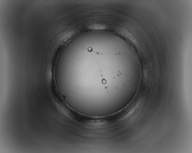 X0000088230541200705221826