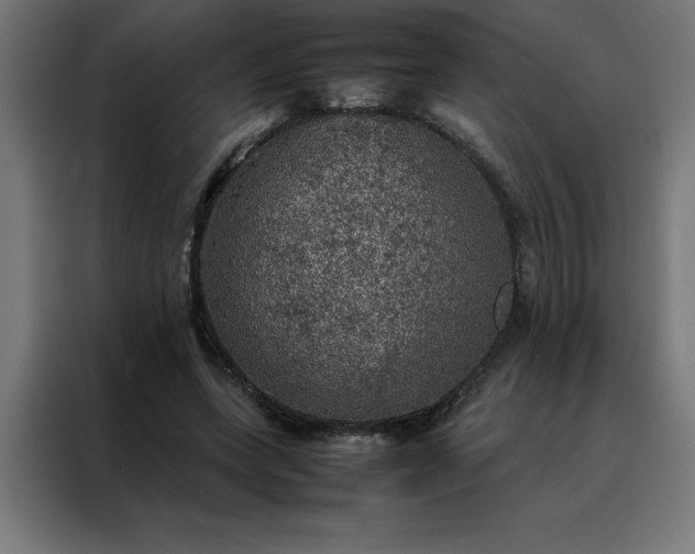 X0000088230543200705221826