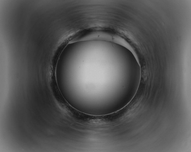 X0000088230544200705221826
