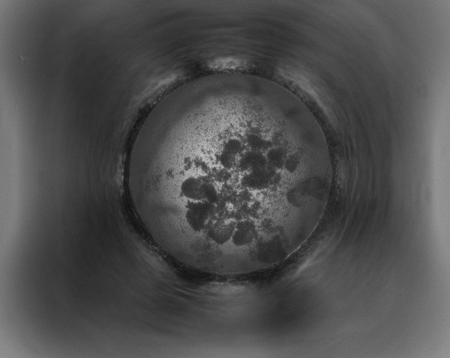 X0000088230545200705221826