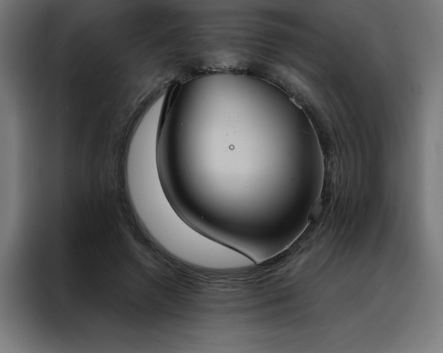 X0000088230546200705221826