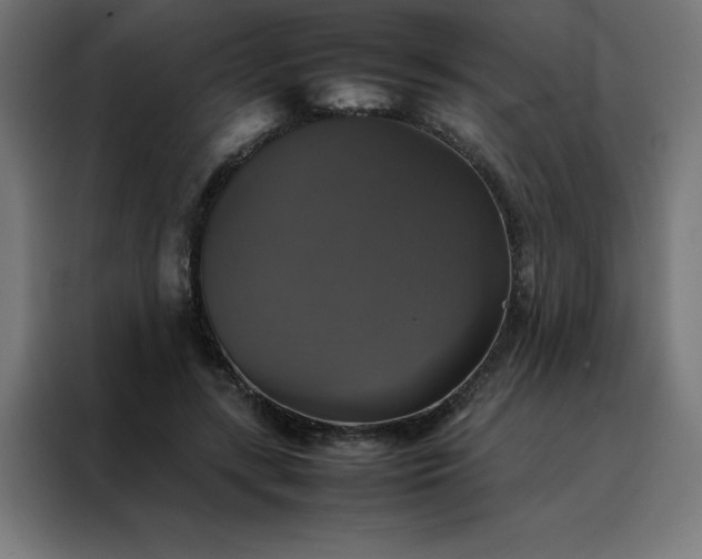 X0000088230547200705221826