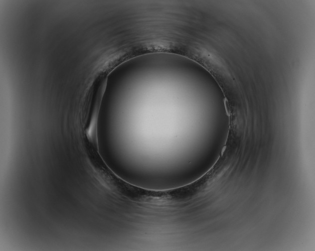 X0000088230548200705221826