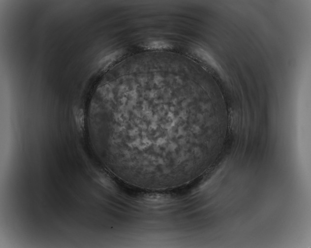 X0000088230549200705221826