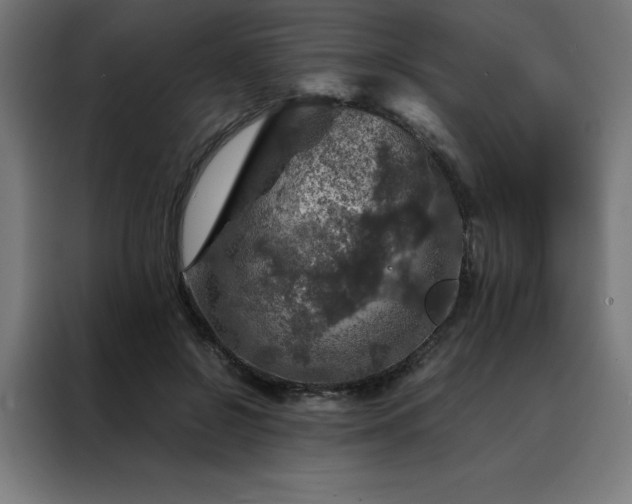 X0000088230550200705221827