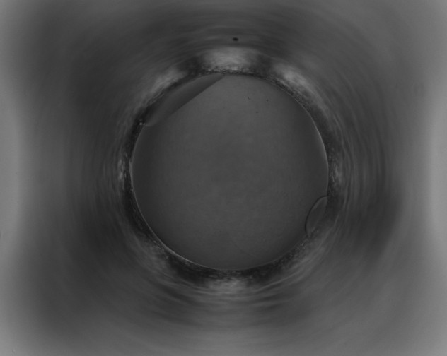 X0000088230551200705221827