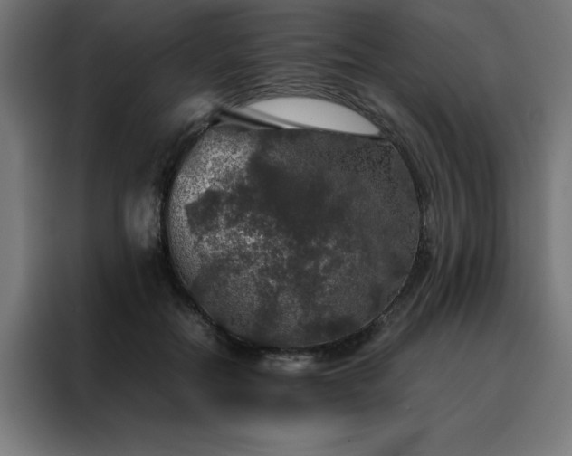 X0000088230554200705221827