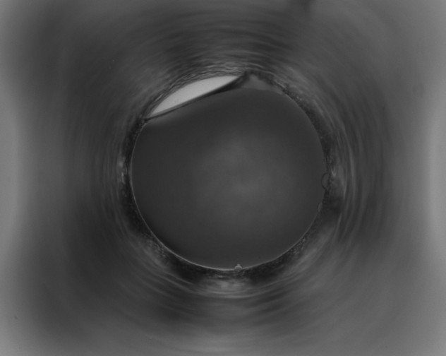 X0000088230555200705221827
