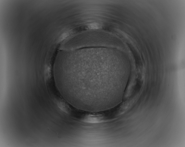 X0000088230556200705221827
