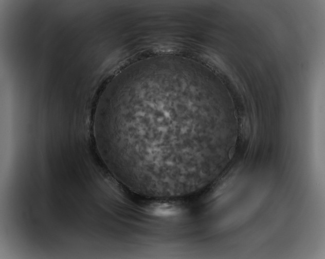 X0000088230557200705221827
