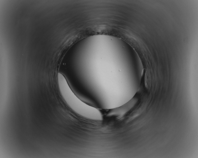 X0000088230558200705221827