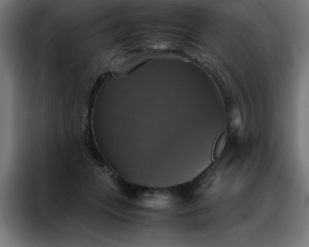 X0000088230559200705221827