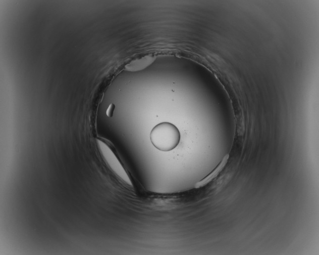 X0000088230560200705221827