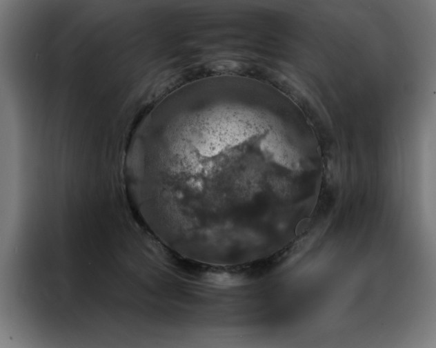 X0000088230561200705221827