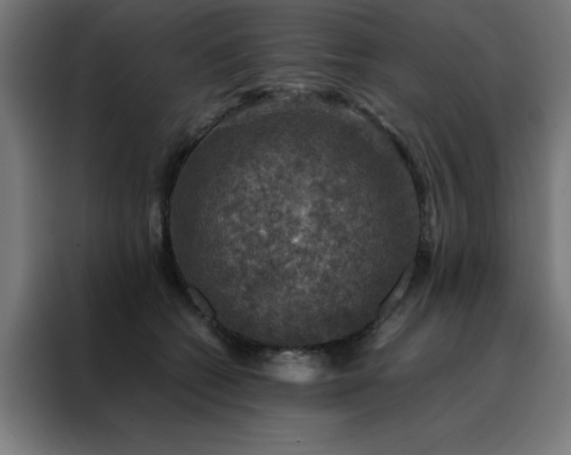 X0000088230562200705221827