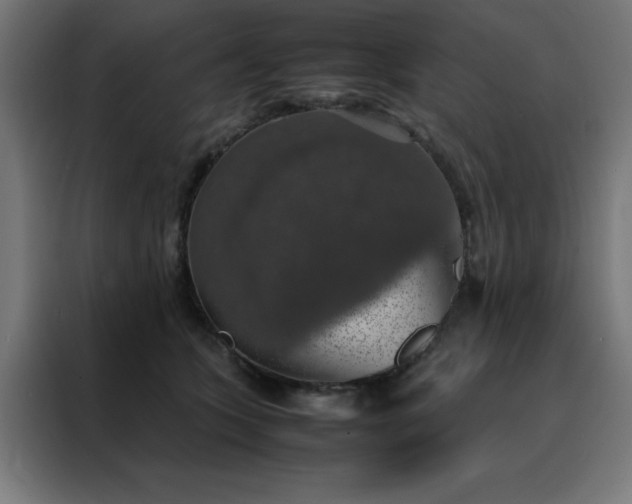 X0000088230563200705221827