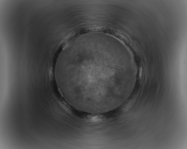 X0000088230564200705221827