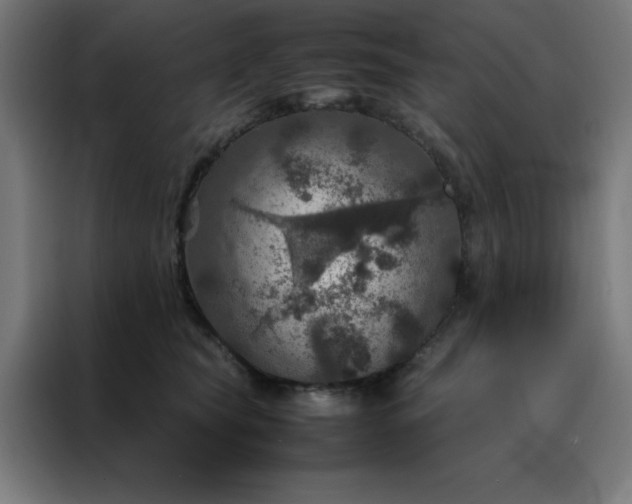 X0000088230565200705221827
