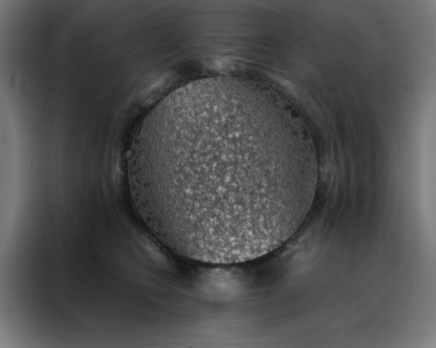 X0000088230566200705221827