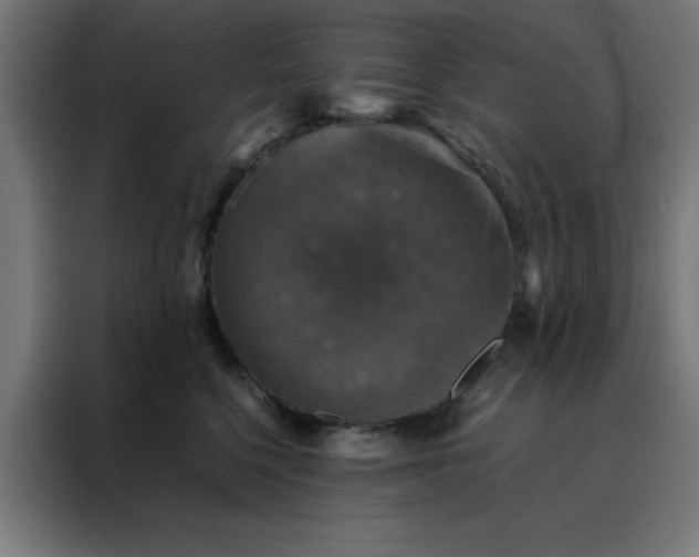X0000088230568200705221827