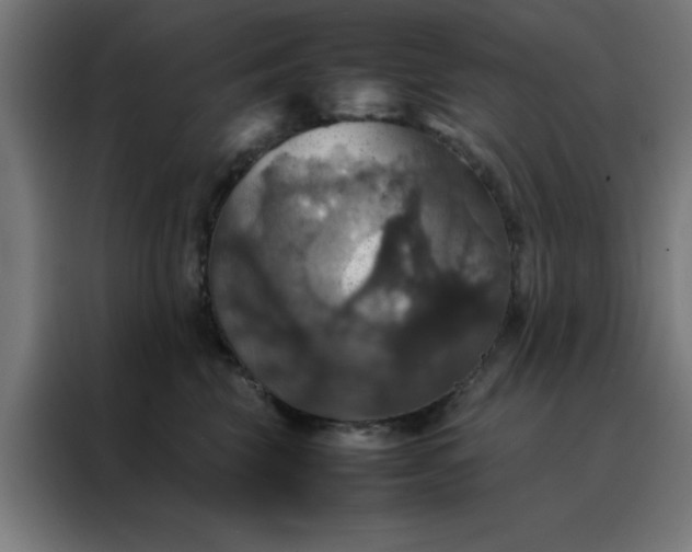 X0000088230569200705221827