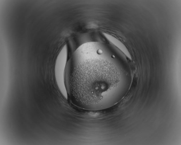X0000088230570200705221827