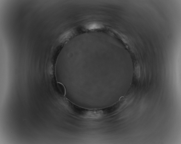 X0000088230571200705221827