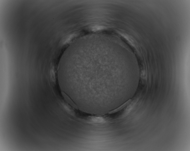 X0000088230572200705221827