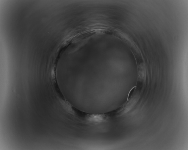 X0000088230573200705221827
