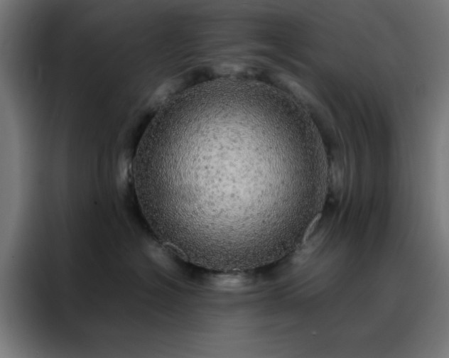 X0000088230574200705221827