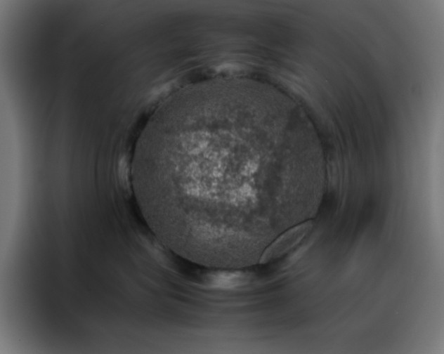 X0000088230575200705221827