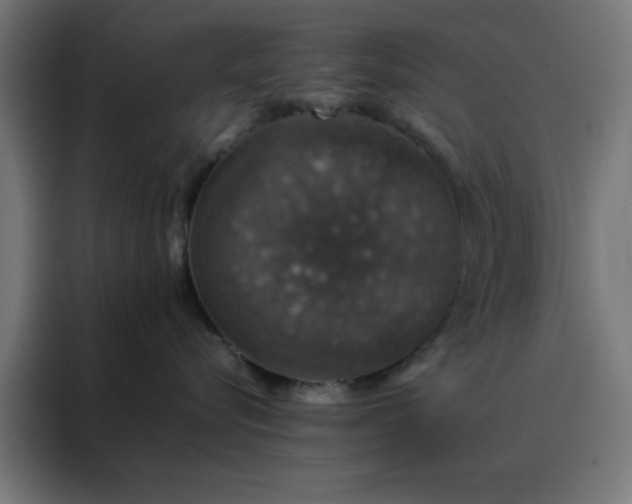 X0000088230576200705221827