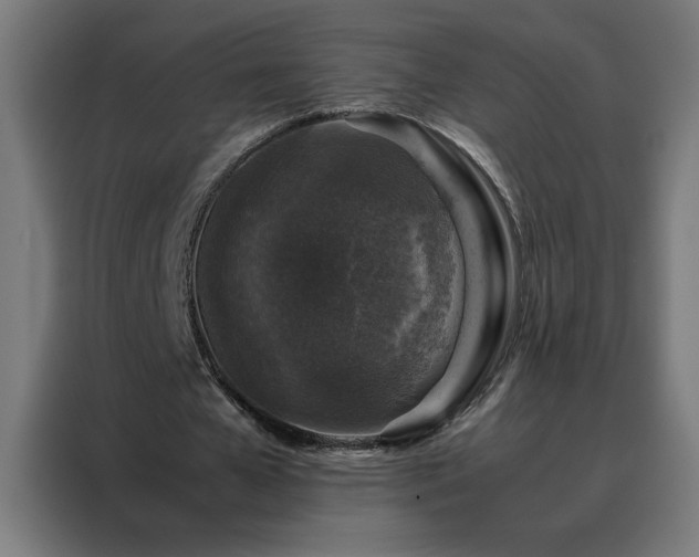 X0000088230577200705221826