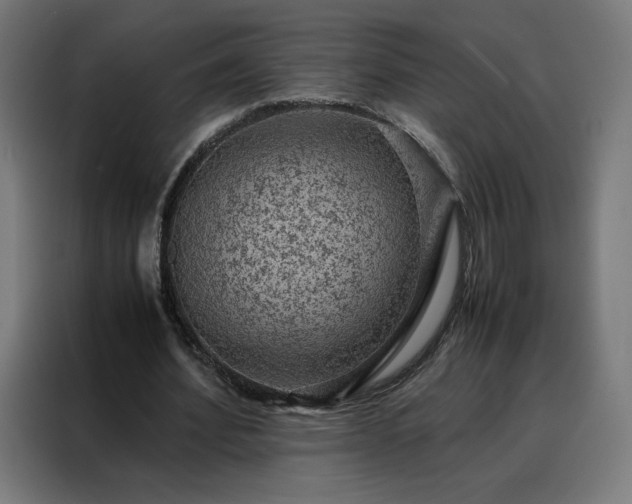 X0000088230580200705221826