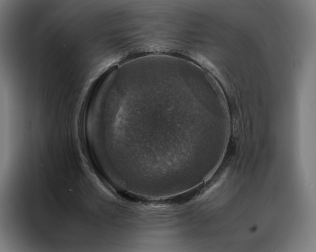 X0000088230581200705221826