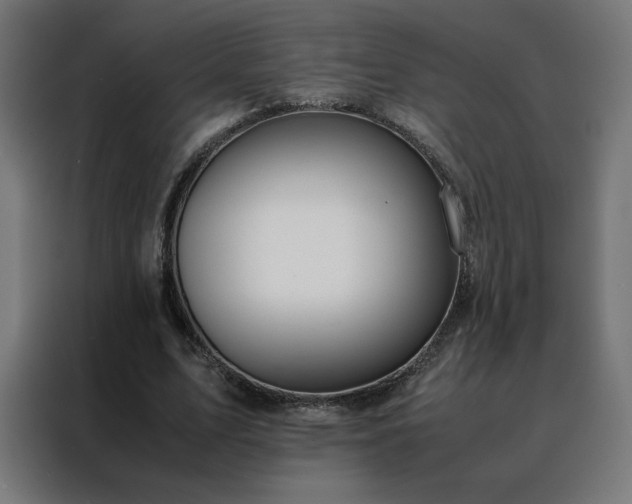 X0000088230583200705221826